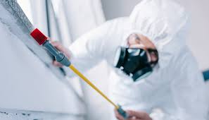 Best Pest Control for Warehouses  in Struthers, OH